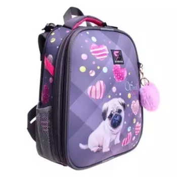 Рюкзак каркасный школьный 38 х 30 х 16 см, эргономичная спинка, Stavia "Мопс"