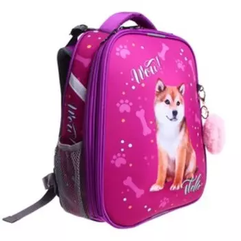 Рюкзак каркасный школьный 38 х 30 х 16 см, эргономичная спинка, Stavia "Собака"