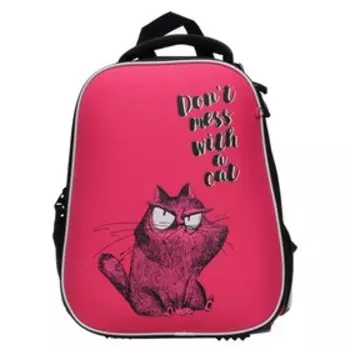 Рюкзак каркасный школьный Феникс + "Крэйзи кот", 37 х 27 х 13 см, система роста