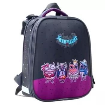 Рюкзак каркасный Stavia, 38 х 30 х 16 см, эргономичная спинка, "Совушки", мультиколор/серый