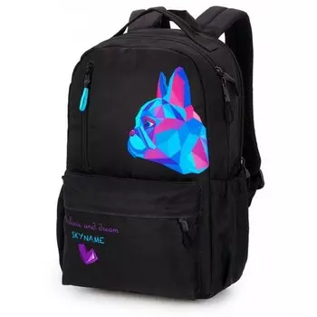 Рюкзак молодежный 41 х 26 х 15 см, эргономичная спинка, SkyName 77, 77-19