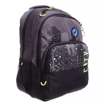 Рюкзак молодёжный, 45 х 32 х 23 см, Grizzly 130, эргономичная спинка, RU-130-41/3