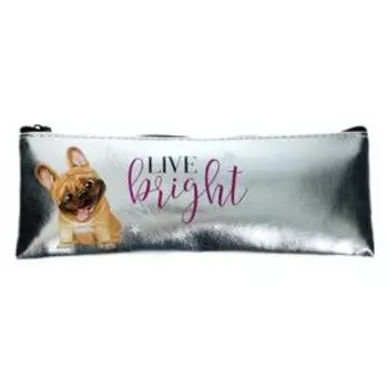 Рюкзак молодёжный Calligrata "Бульдог" + пенал - косметичка, 38 х 30 х 11 см, голография