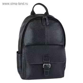 Рюкзак мужской, черный, 275x410x110