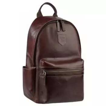 Рюкзак мужской, н/к, молния, цвет коричневый 280x420x110