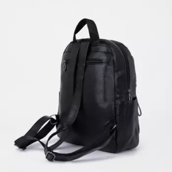 Рюкзак на молнии, цвет чёрный