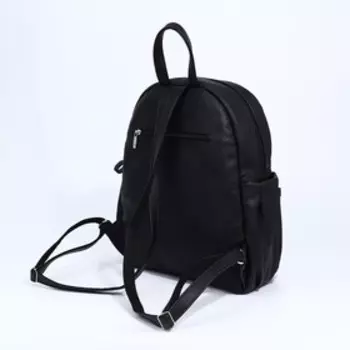 Рюкзак на молнии, цвет чёрный