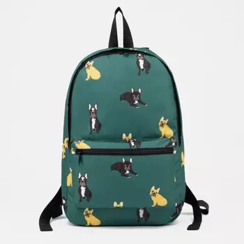 Рюкзак школьный на молнии, наружный карман, цвет зелёный