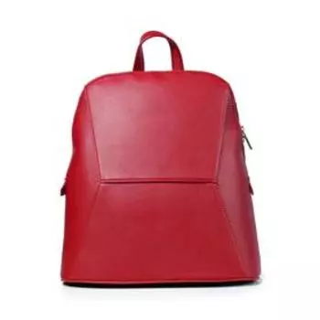 Рюкзак, отдел на молни, цвет красный 27,5х29,5х12,5см