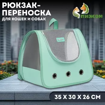 Рюкзак-переноска для кошек и собак, 35 х 30 х 26 см, голубой