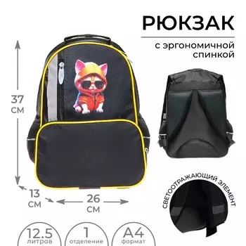 Рюкзак школьный, эргономичная спинка, 372613 см «Крутой кот»