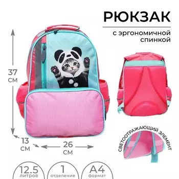 Рюкзак школьный, эргономичная спинка, 372613 см «Котик панда»