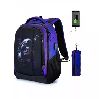 Рюкзак школьный 38 х 28 х 16 см, эргономичная спинка + пенал, SkyName 57, чёрный/фиолетовый, 57-51