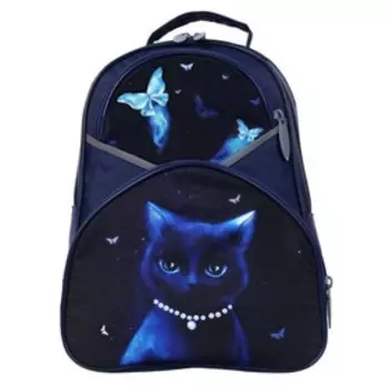 Рюкзак школьный, 37 х 26 х 13 см, эргономичная спинка, Calligrata АН "Кошечка"