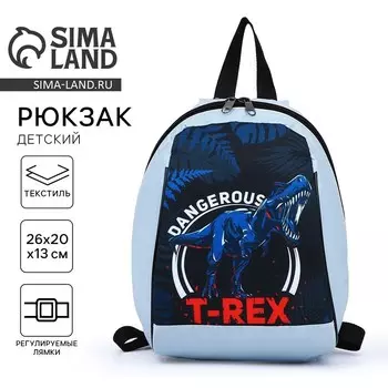 Рюкзак школьный детский для мальчика «Динозавр», 201326, на молнии, голубой