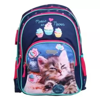 Рюкзак школьный deVENTE Attomex Basic Meow or Never, 38 х 27 х 17 см, эргономичная спинка