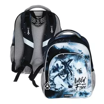 Рюкзак школьный Erich Krause ErgoLine 15L, 39 х 28 х 14 см, эргономичная спинка, Timber Wolf 60100