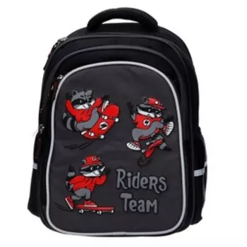 Рюкзак школьный Феникс + "Еноты на скейтах", 38,5 х 29 х 13,5 см
