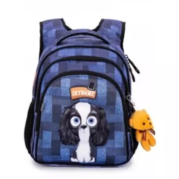 Рюкзак школьный SkyName + брелок мишка, 37 х 30 х 16 см, эргономичная спинка