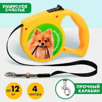 Рулетка «Гулять» 3 м