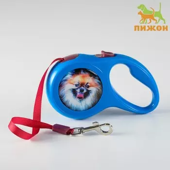 Рулетка с принтом "Милашка", 3 м, вес животного до 12 кг, синяя