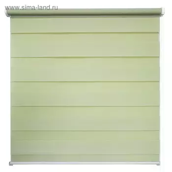 Рулонная штора день/ночь «Канзас», 80 х 160 см, цвет фисташковый