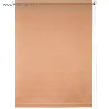 Рулонная штора «Плайн», 67 х 175 см, цвет кофейный