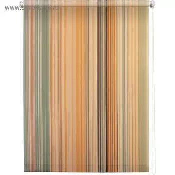 Рулонная штора «Спектр», 50 х 175 см