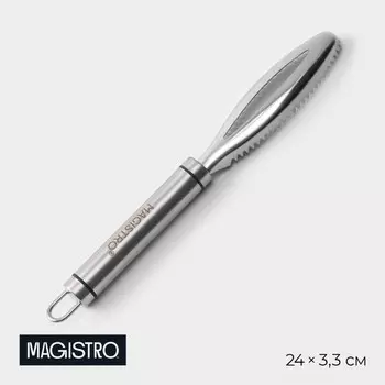 Рыбочистка Magistro Solid, нержавеющая сталь, хромированная