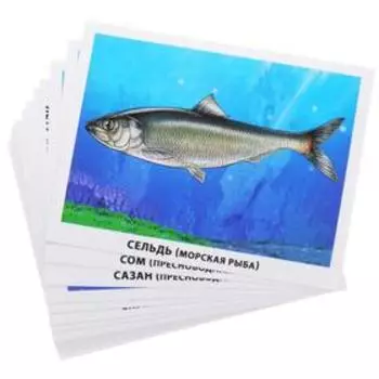 Рыбы морские и пресноводные