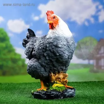 Садовая фигура из полистоуна «Курица кубанская», 3320.540 см