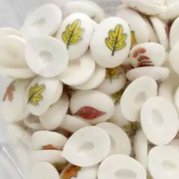 Сахарные мини-медальоны «Осень», 65 г