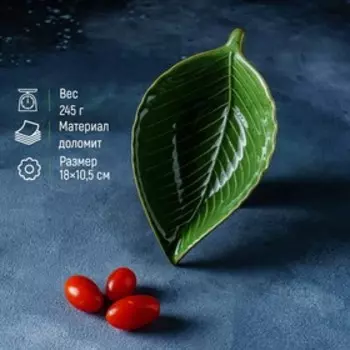 Салатник Доляна «Лист», 170 мл, 1810,5 см, цвет зелёный