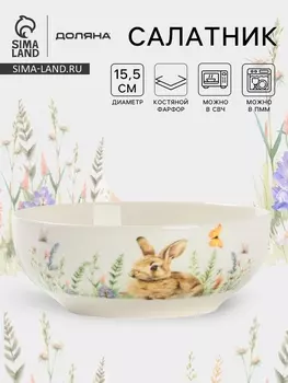 Салатник Доляна «Зайка», фарфор, 620 мл, 15.56 см, белый