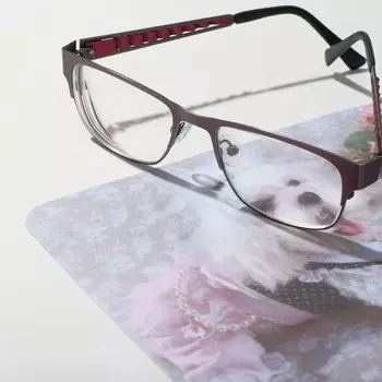 Салфетка для очков TAO50 "Собачка в платье" 15*18см, цвет бело-розовый