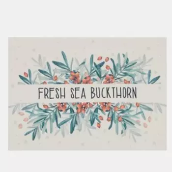 Салфетка на стол Доляна "Fresh sea buckthorn" ПВХ 40*29см