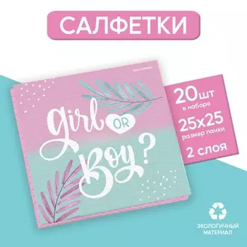 Салфетки бумажные Gir or Boy, 25 25 см, в наборе 20 шт.