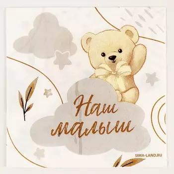 Салфетки бумажные 2525 см «Мишка», набор 20 шт.