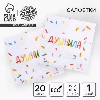 Салфетки бумажные однослойные «Душнила», 24 24 см, в наборе 20 шт.