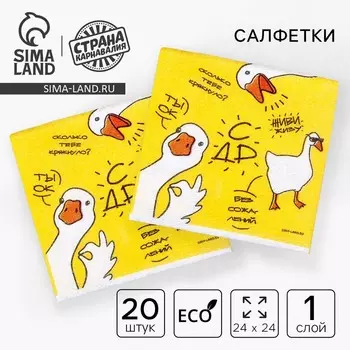 Салфетки бумажные однослойные «Гуси», 2424 см, в наборе 20 шт.