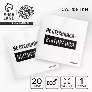 Салфетки бумажные однослойные «Не стесняйся-вытирайся», 2424 см, набор 20 шт.