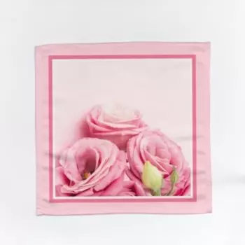 Салфетки, размер 40x40 см, 2 шт