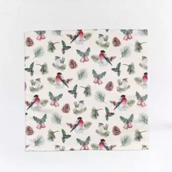 Салфетки, размер 40x40 см, 2 шт.