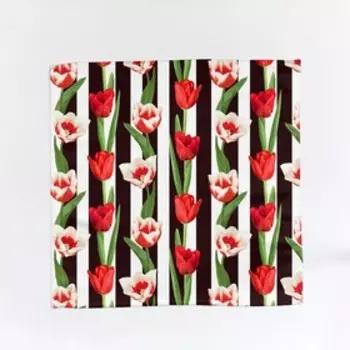 Салфетки, размер 40x40 см, 2 шт