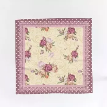 Салфетки, размер 40x40 см, 2 шт