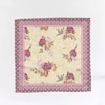 Салфетки, размер 40x40 см, 2 шт