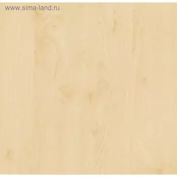 Самоклеящаяся пленка Береза 0,45x2 м