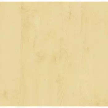 Самоклеящаяся пленка Береза 0,90x15 м