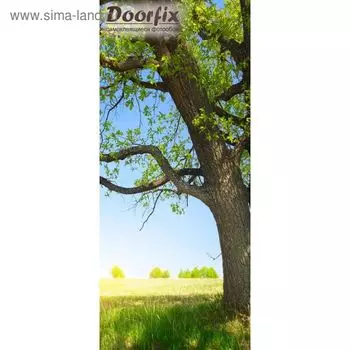 Самоклеящиеся Обои "Дорфикс" D042 (1 полотно), 95x220 см