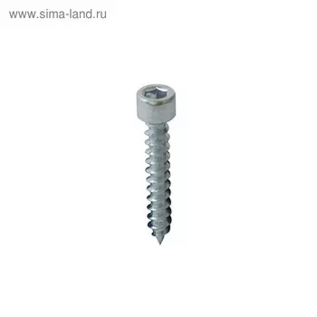 Саморез острый, цилиндр 4,8х25